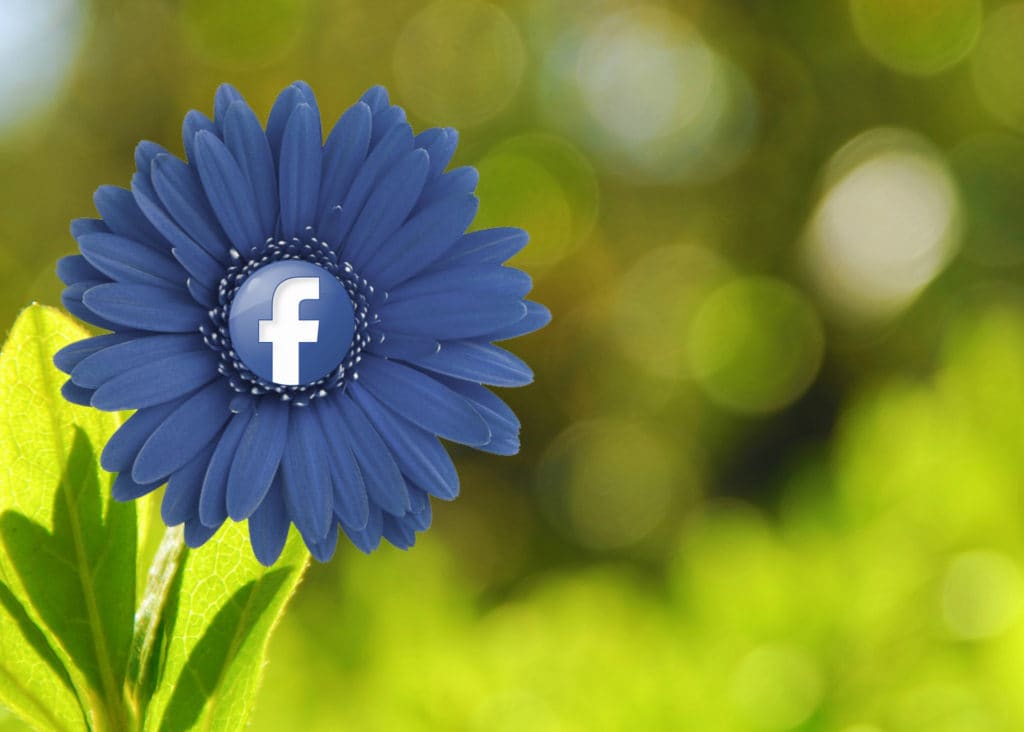 facebook security
